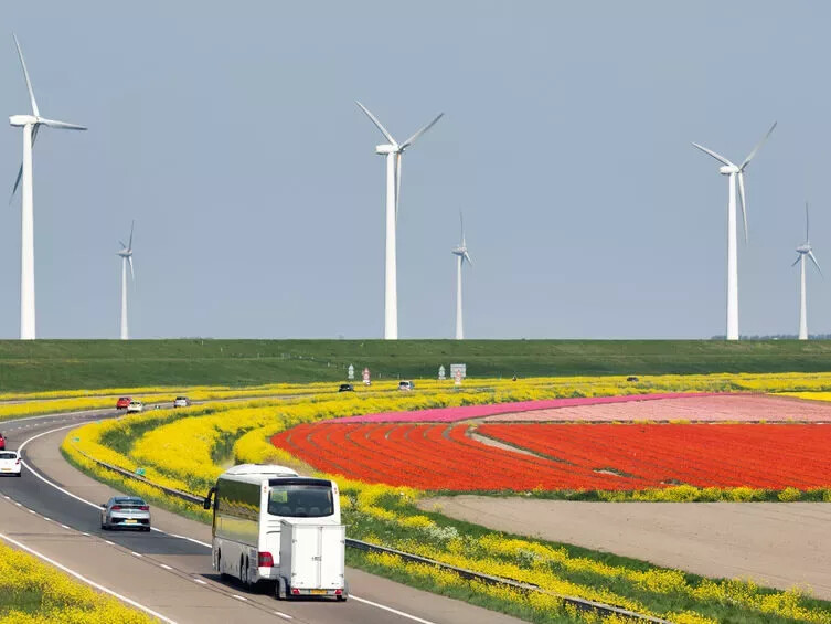 Hallo Stroom Lelystad a6 windmolens zonnepanelen W800 H600 Mcrop upscale I1 Q90 L Bfff P50 50